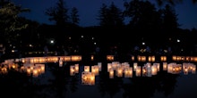 Finding Healing Support: Spring Grove Grief Resources