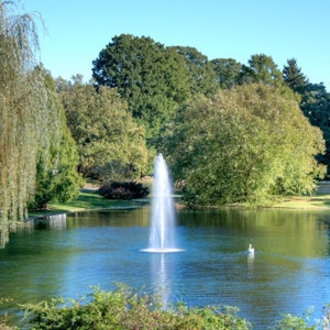 Arboretum