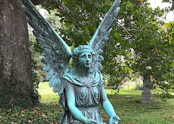 Angels In the Grove