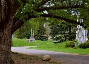 Rooted In History