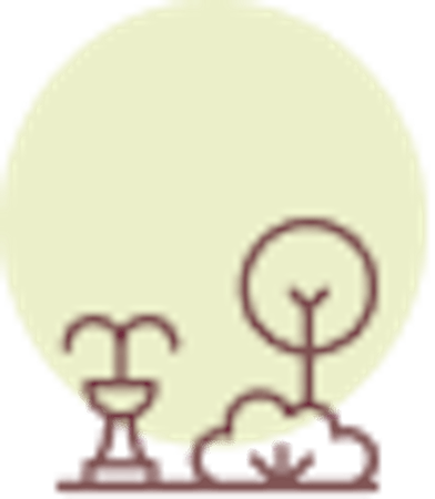 Burial Options